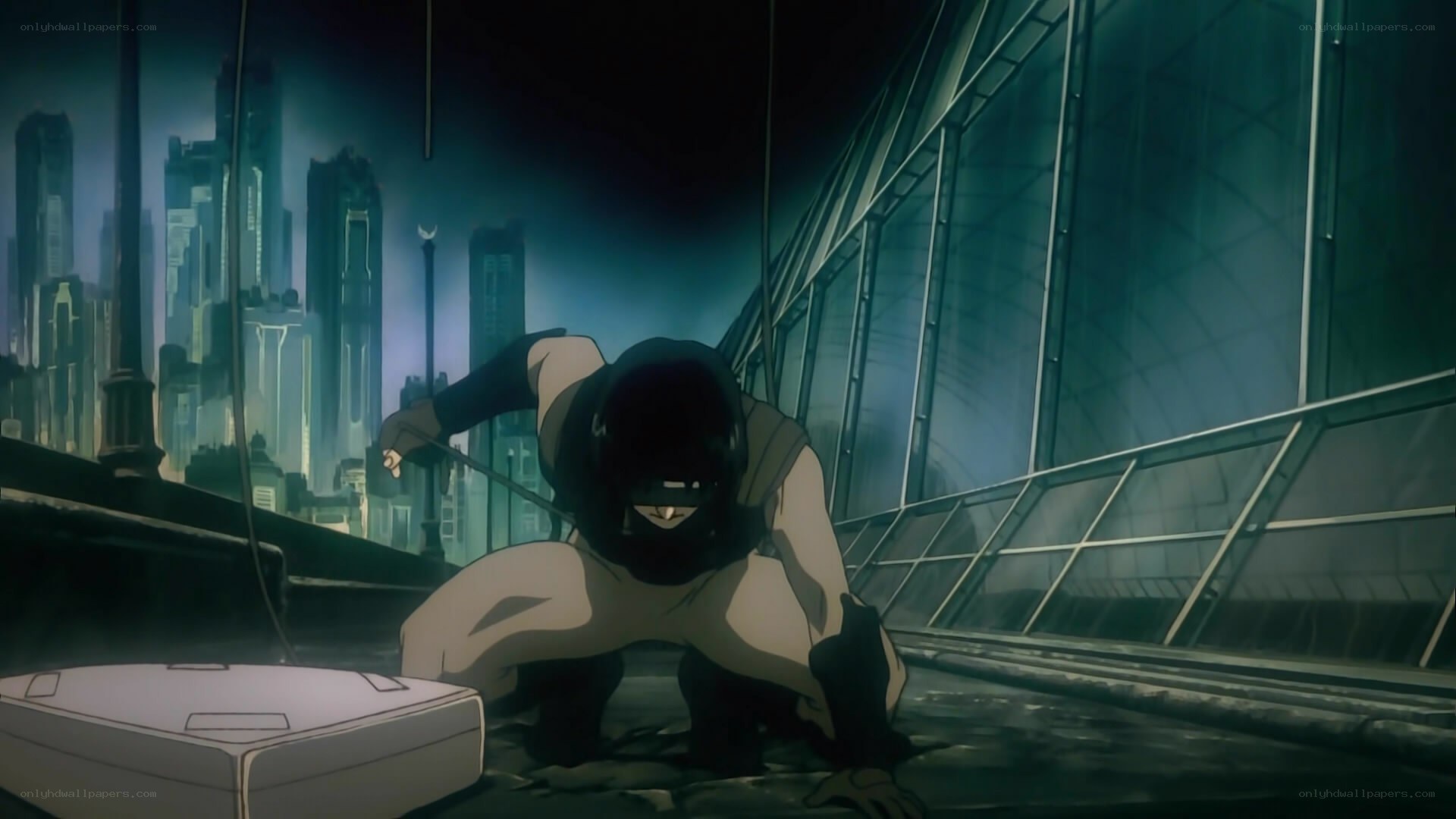 Ninja on a rooftop at night