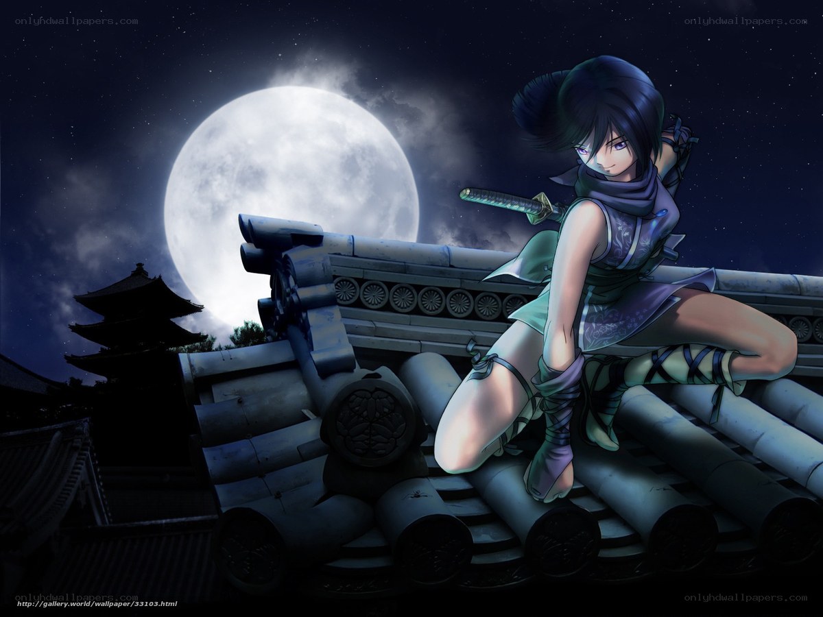 Ninja on a rooftop at night