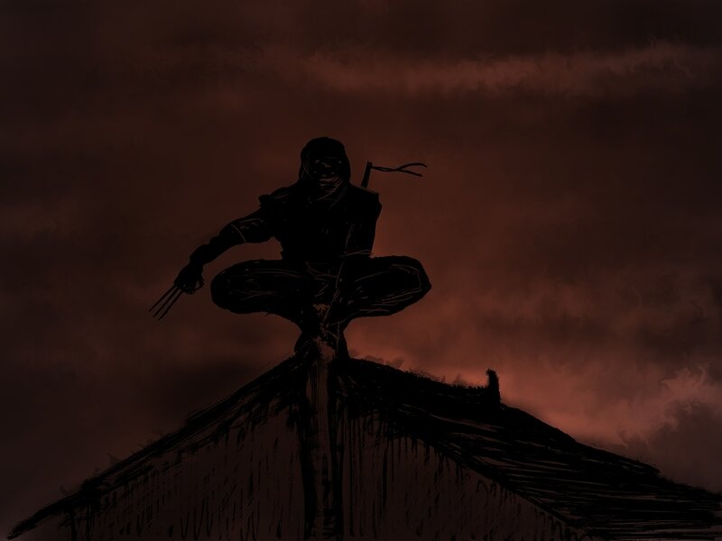 ninja on a rooftop