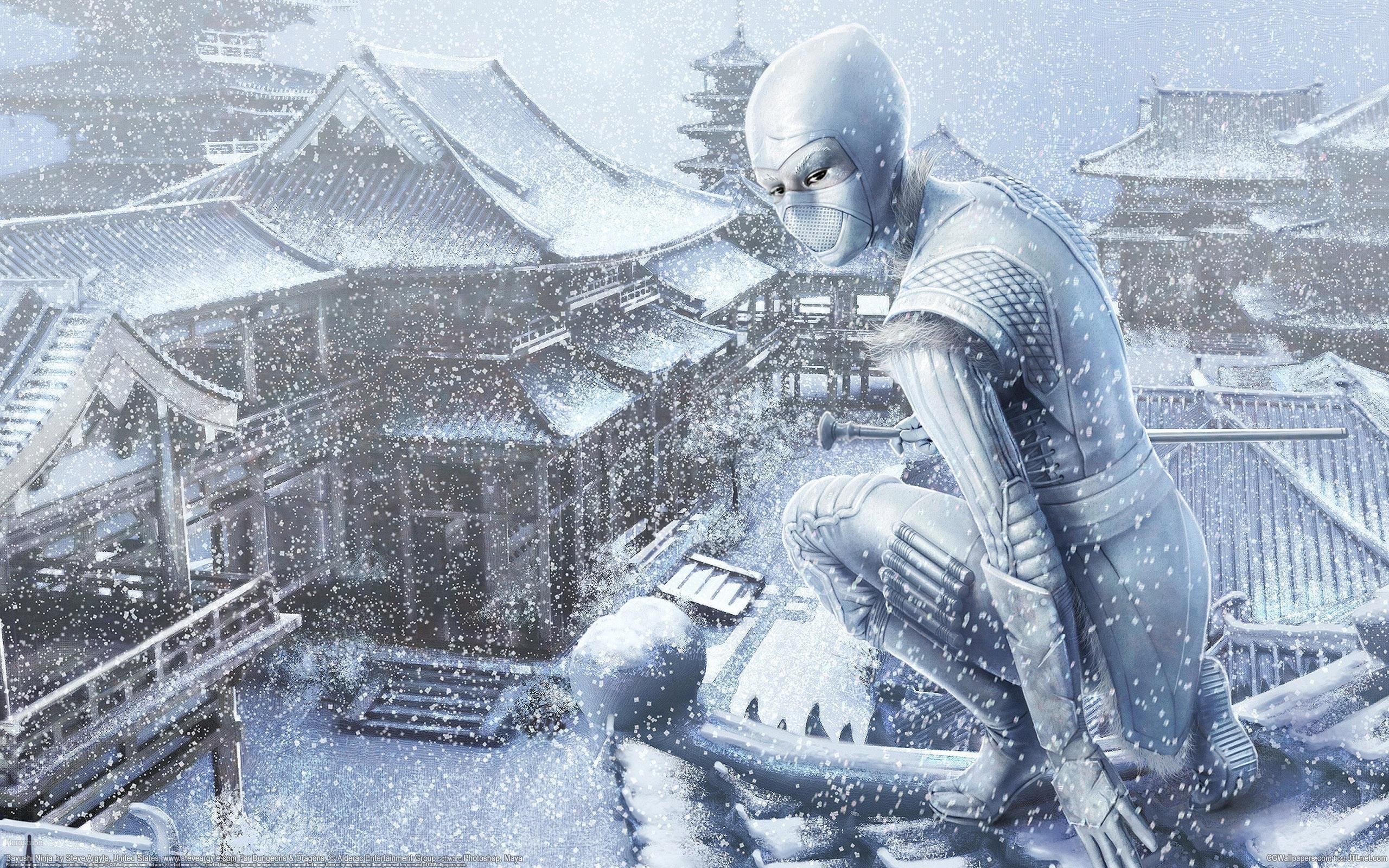 Ninja on a snowy rooftop