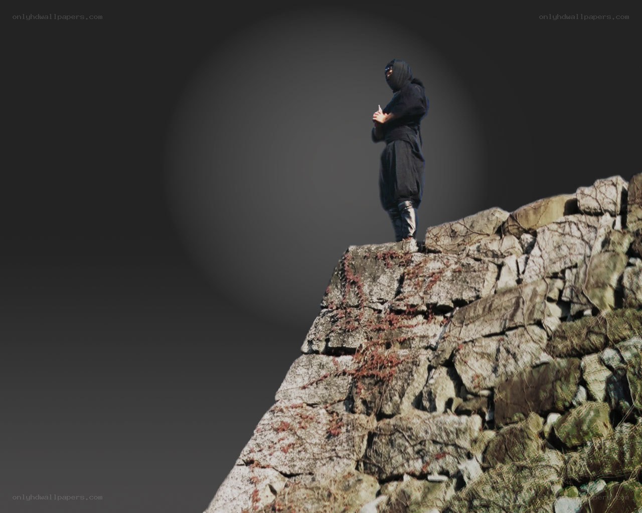Ninja on a stone wall