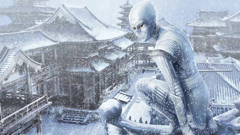 Ninja on Snowy Rooftop — White