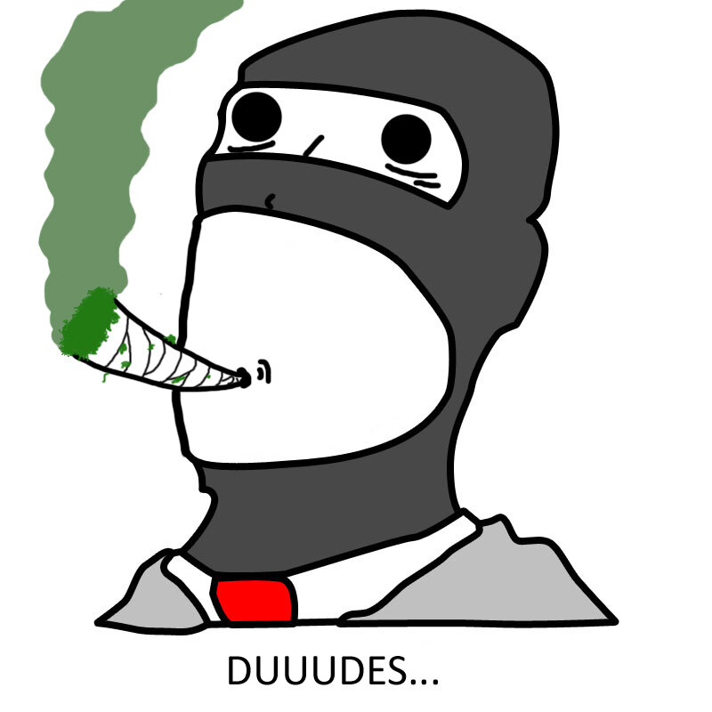 ninja smoking a joint