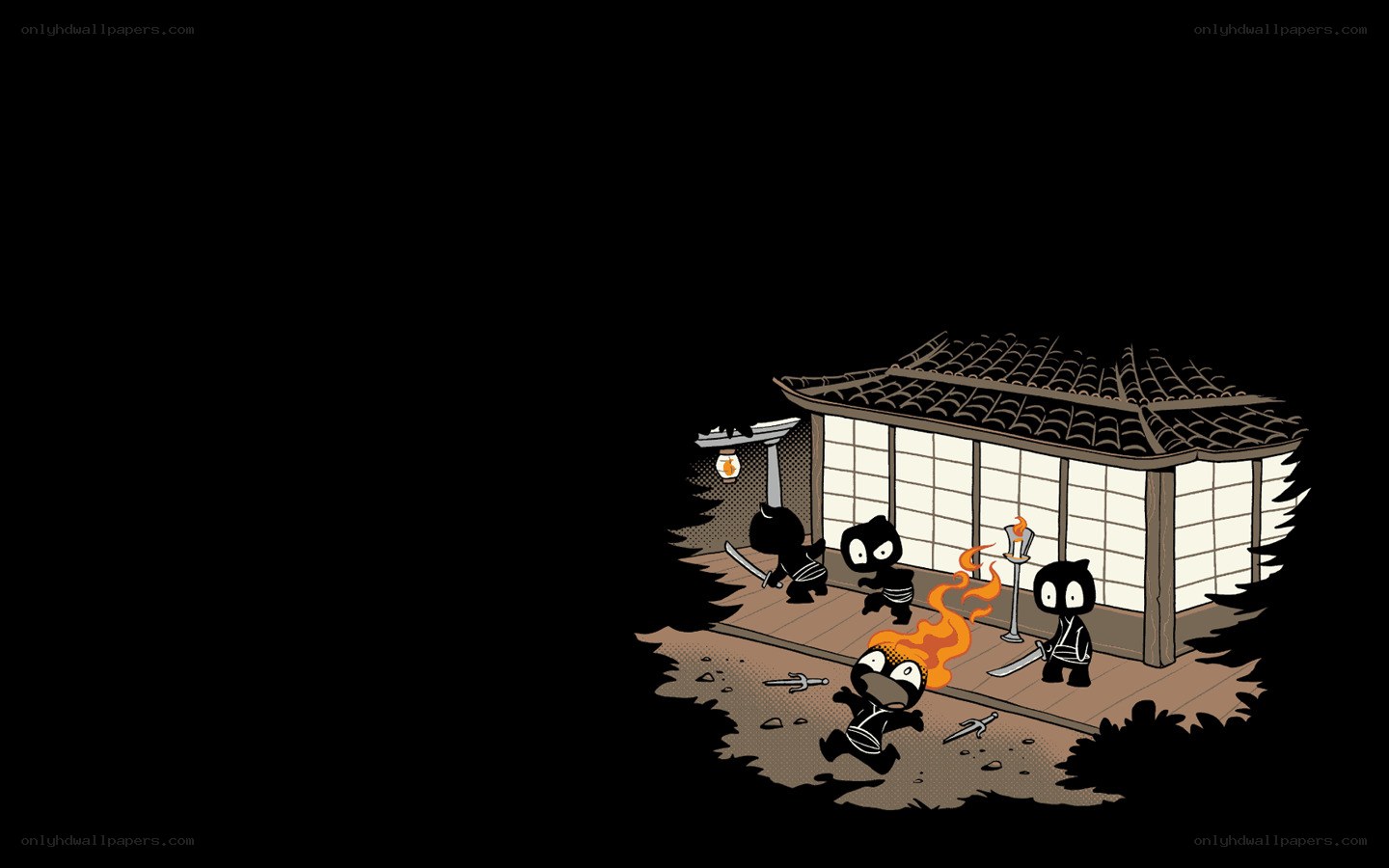 Ninja stealth mission