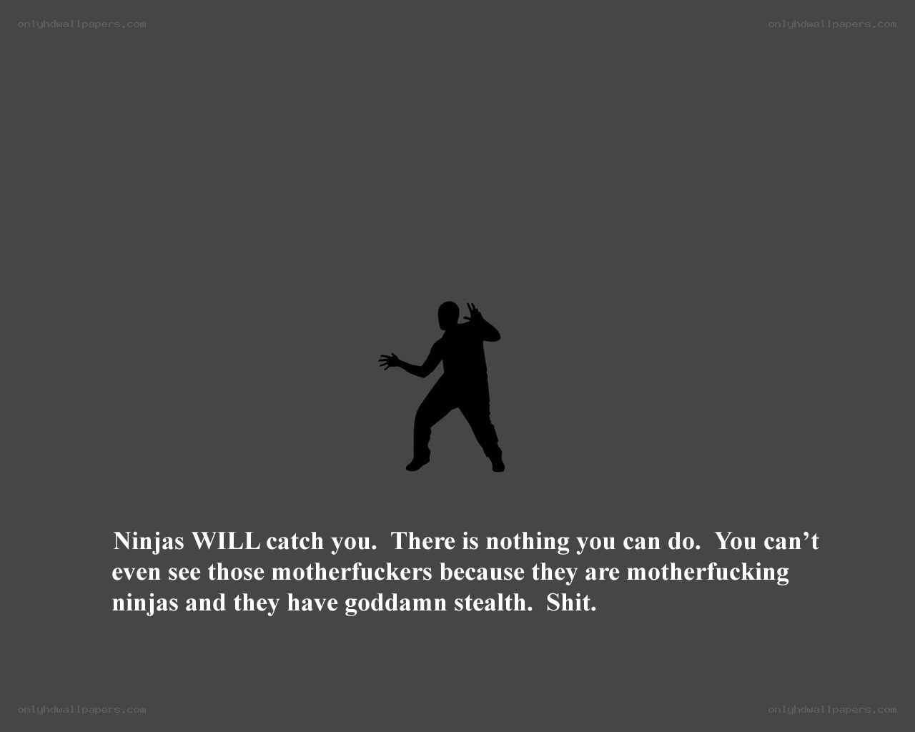 Ninja stealth warning