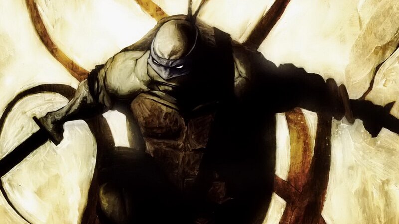 Ninja turtle warrior in shadow