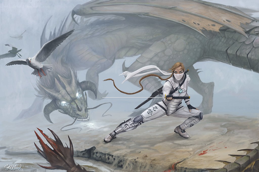 Ninja vs. Dragon Battle
