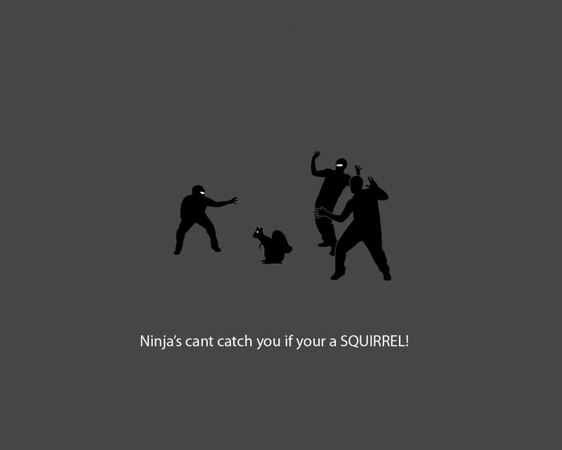 Ninja vs squirrel meme