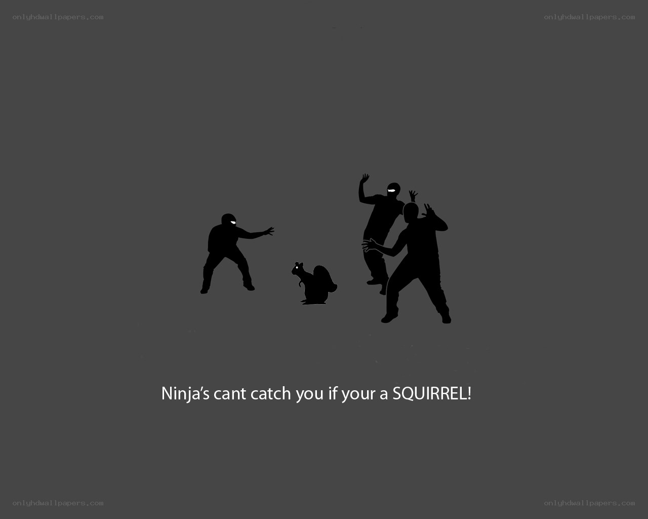 Ninja vs squirrel meme