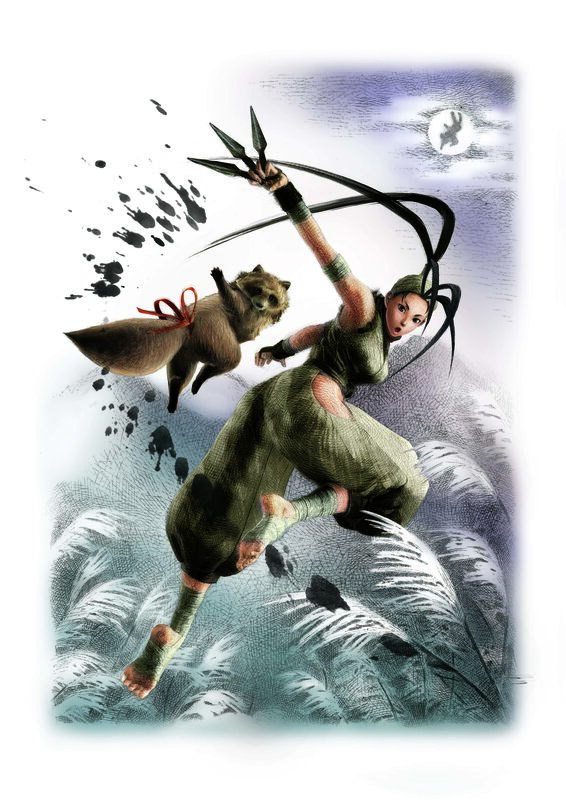 Ninja warrior in action