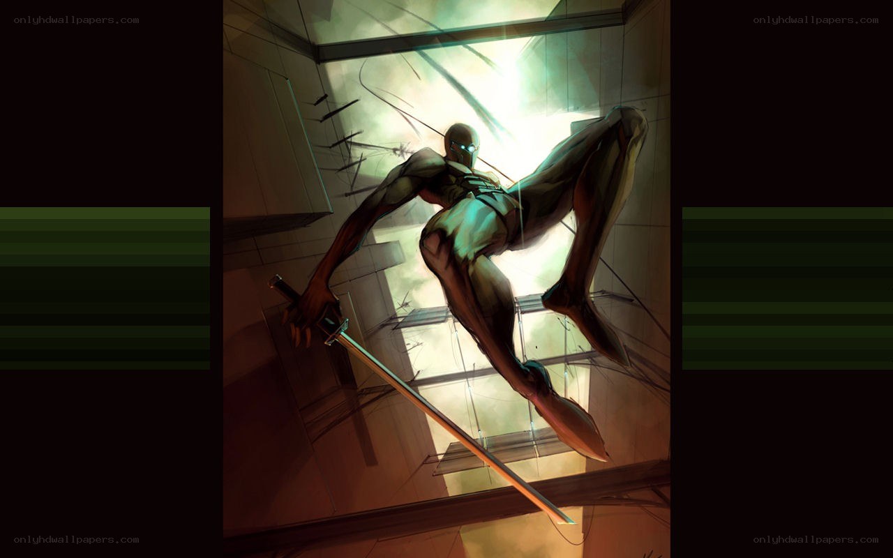 Ninja warrior in action