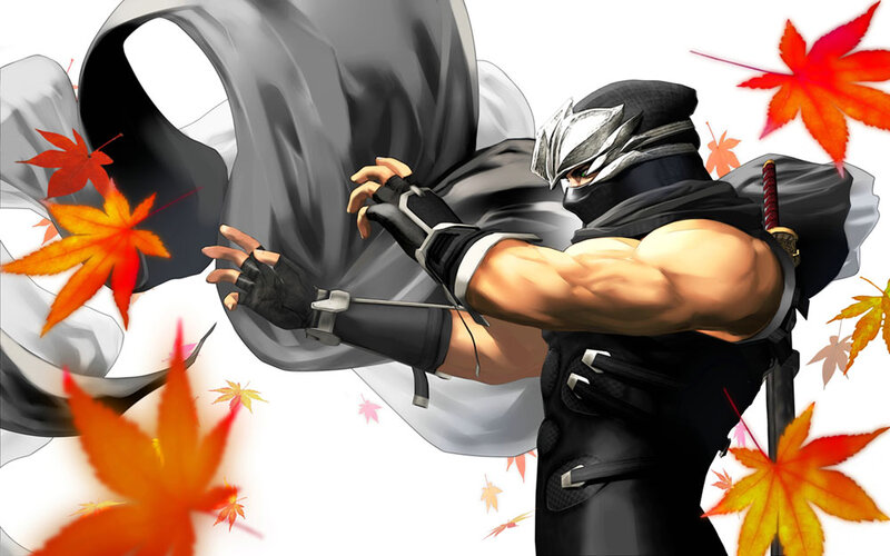 Ninja Warrior in Action — Black, Dramatic