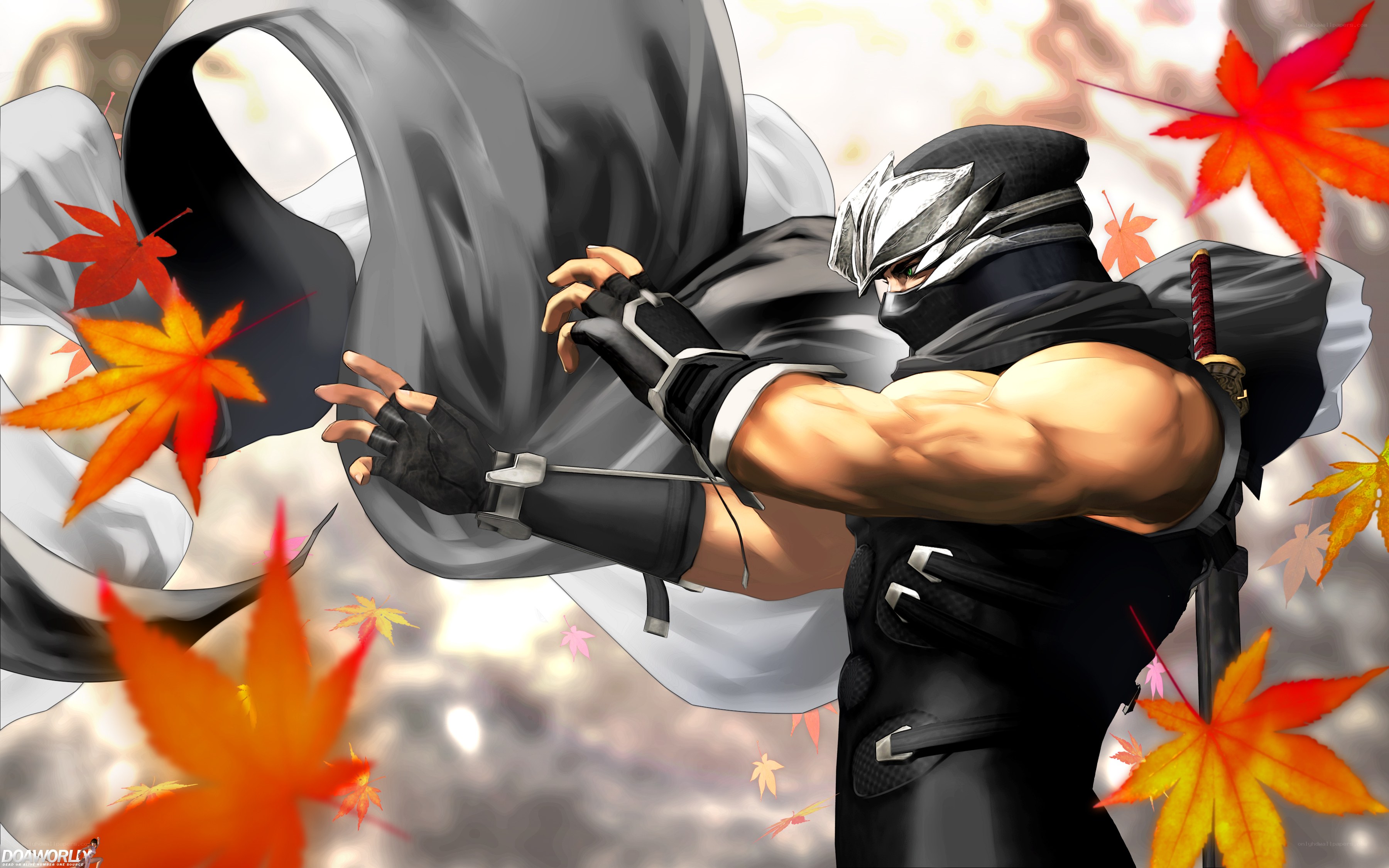 Ninja warrior in autumn leaves