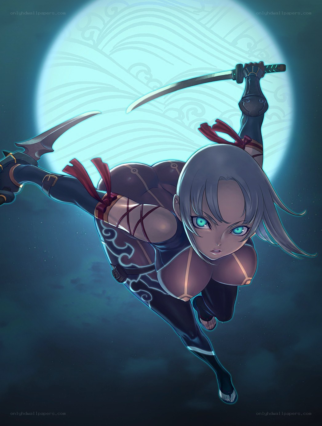 Ninja warrior in moonlight