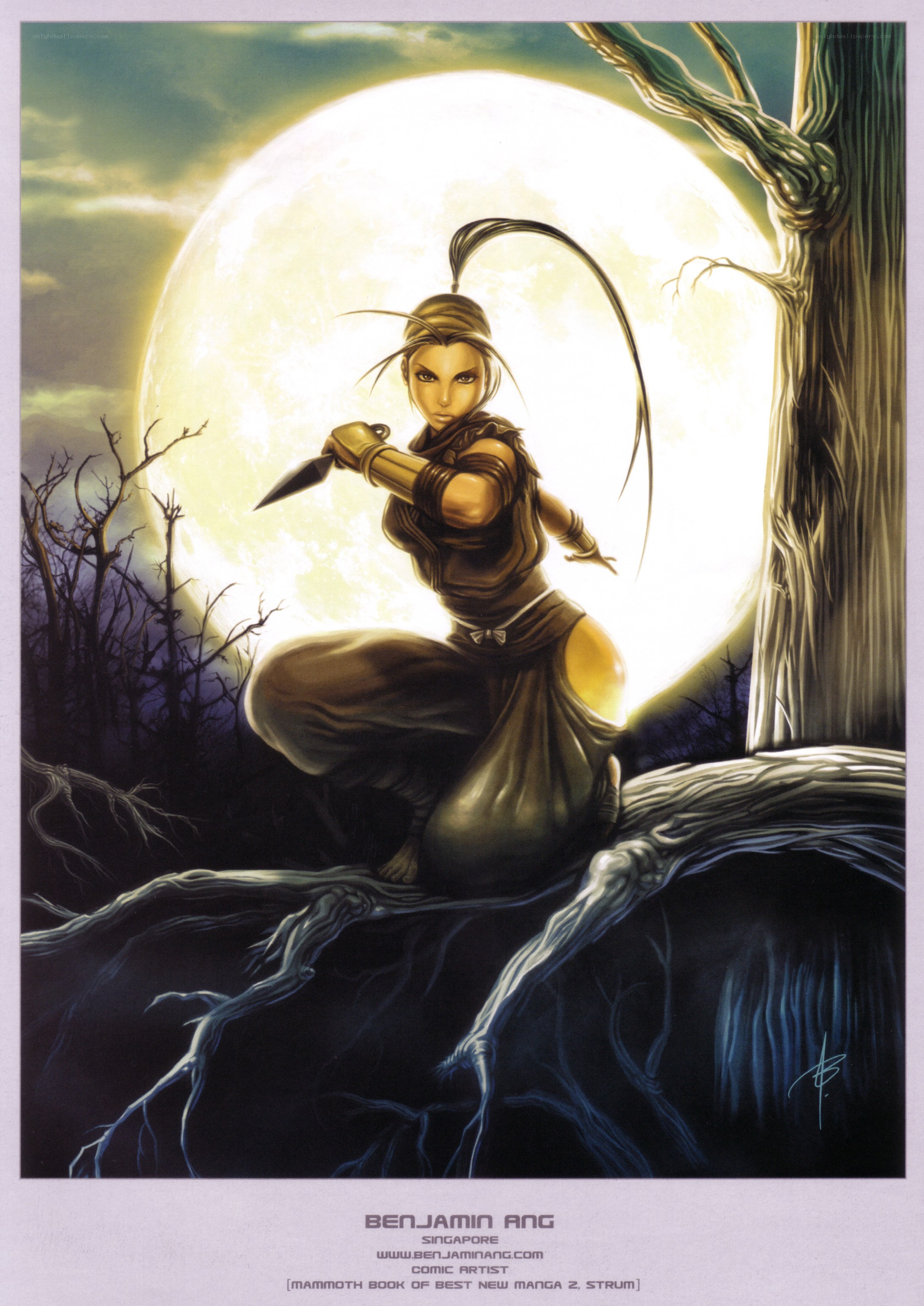 Ninja warrior in moonlight
