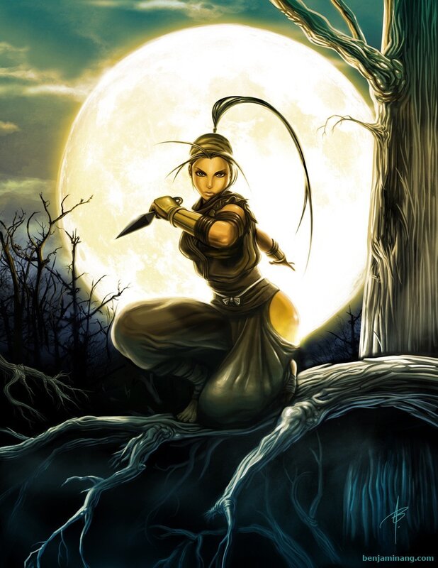 Ninja warrior in moonlight