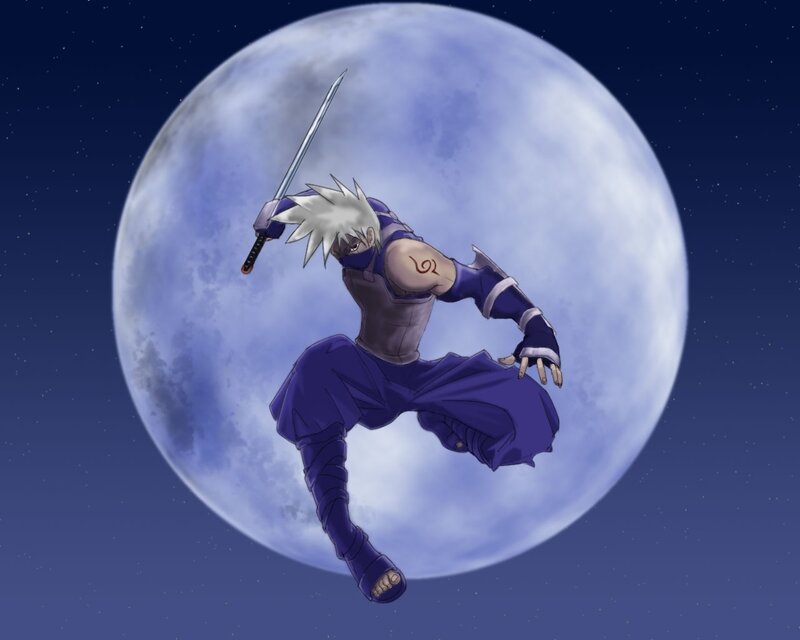 Ninja warrior in moonlight