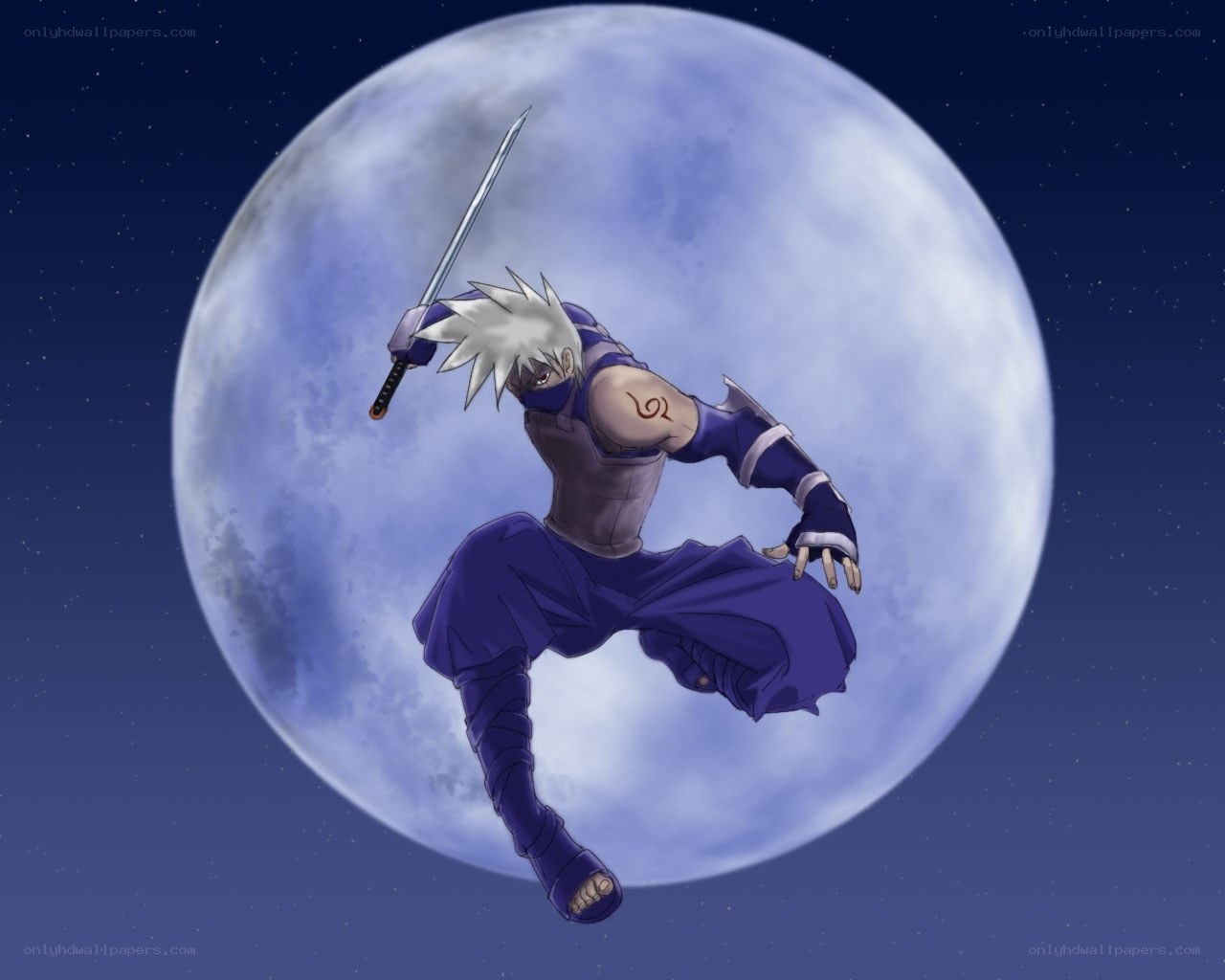 Ninja warrior in moonlight
