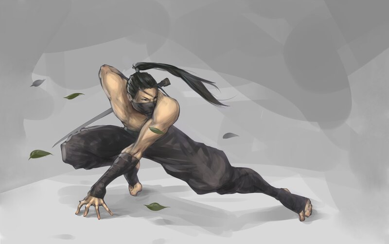 Ninja Warrior in Motion — Gray