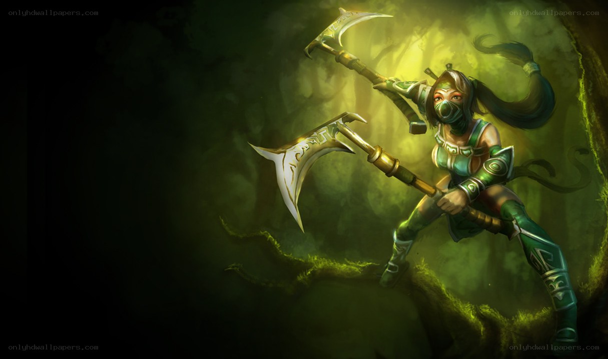 Ninja warrior with dual axes