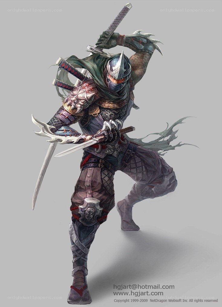 ninja warrior with dual swords