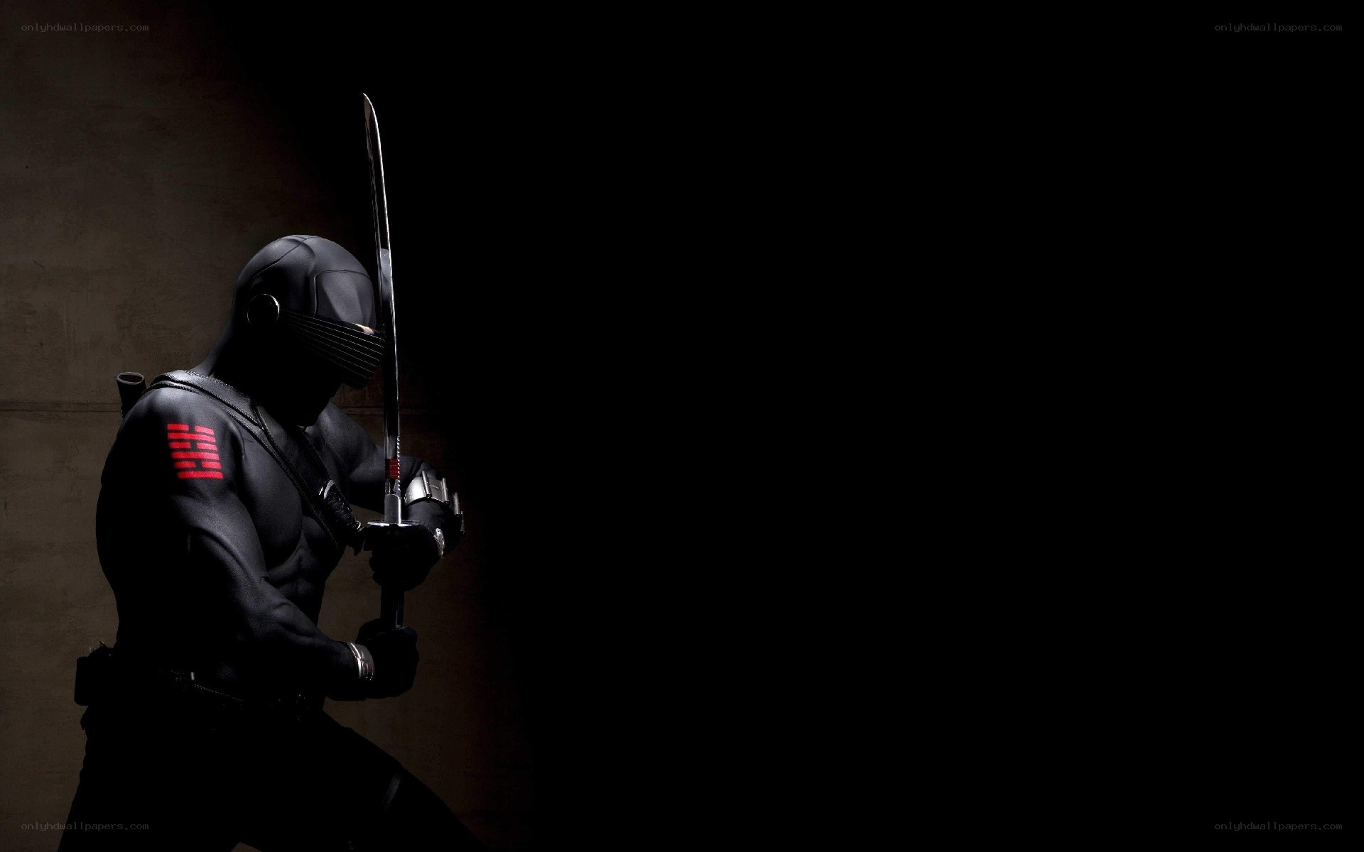 Ninja warrior with sword
