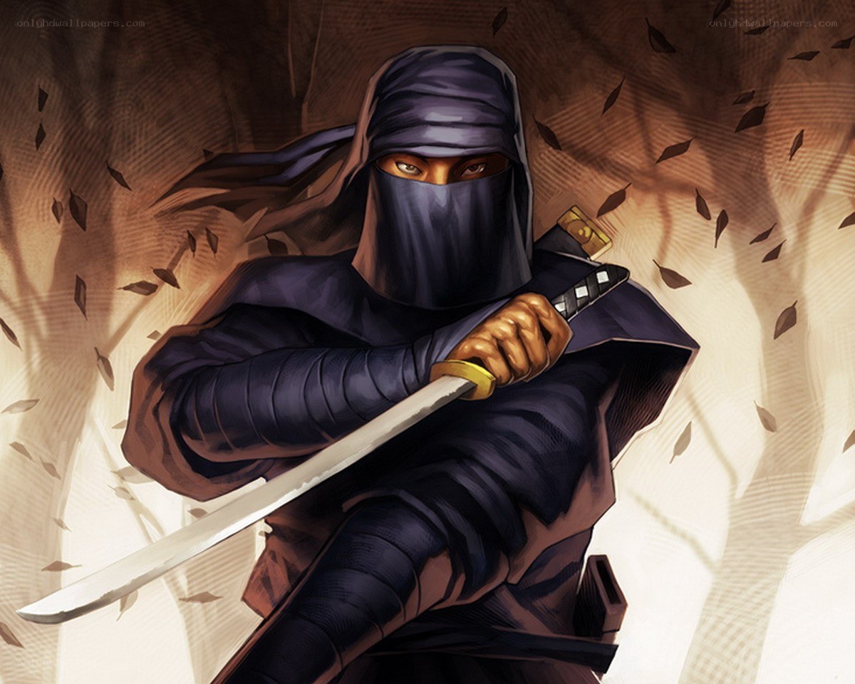 Ninja warrior with sword