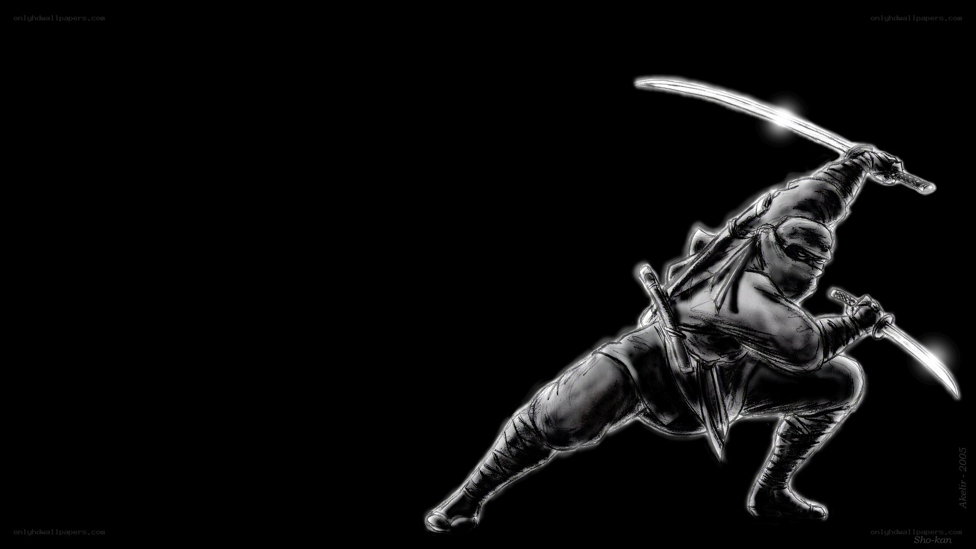 Ninja warrior with swords
