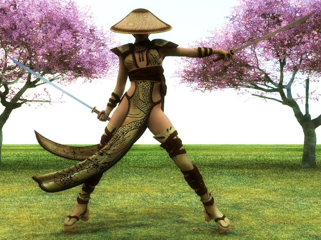 Ninja warrior with swords