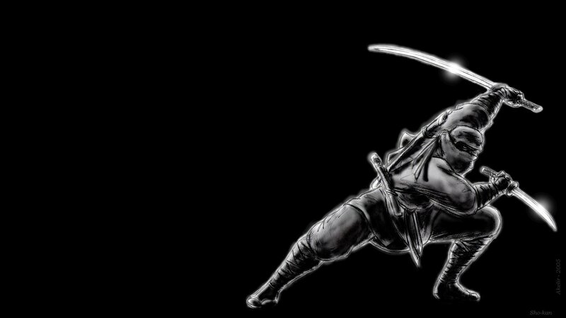 Ninja Warrior with Swords — Black, Dramatic, Manga, Mask