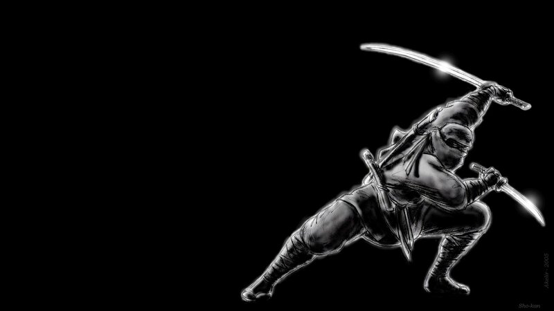 Ninja Warrior with Swords — Black, Dramatic, Manga