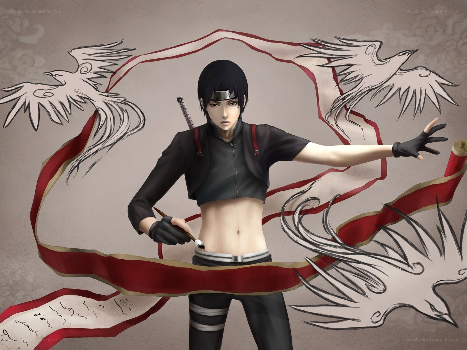 Ninja with birds and ribbon