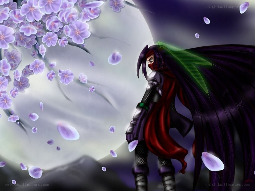 Ninja with cherry blossoms