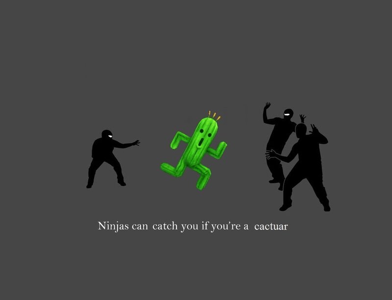 Ninjas and a cactus