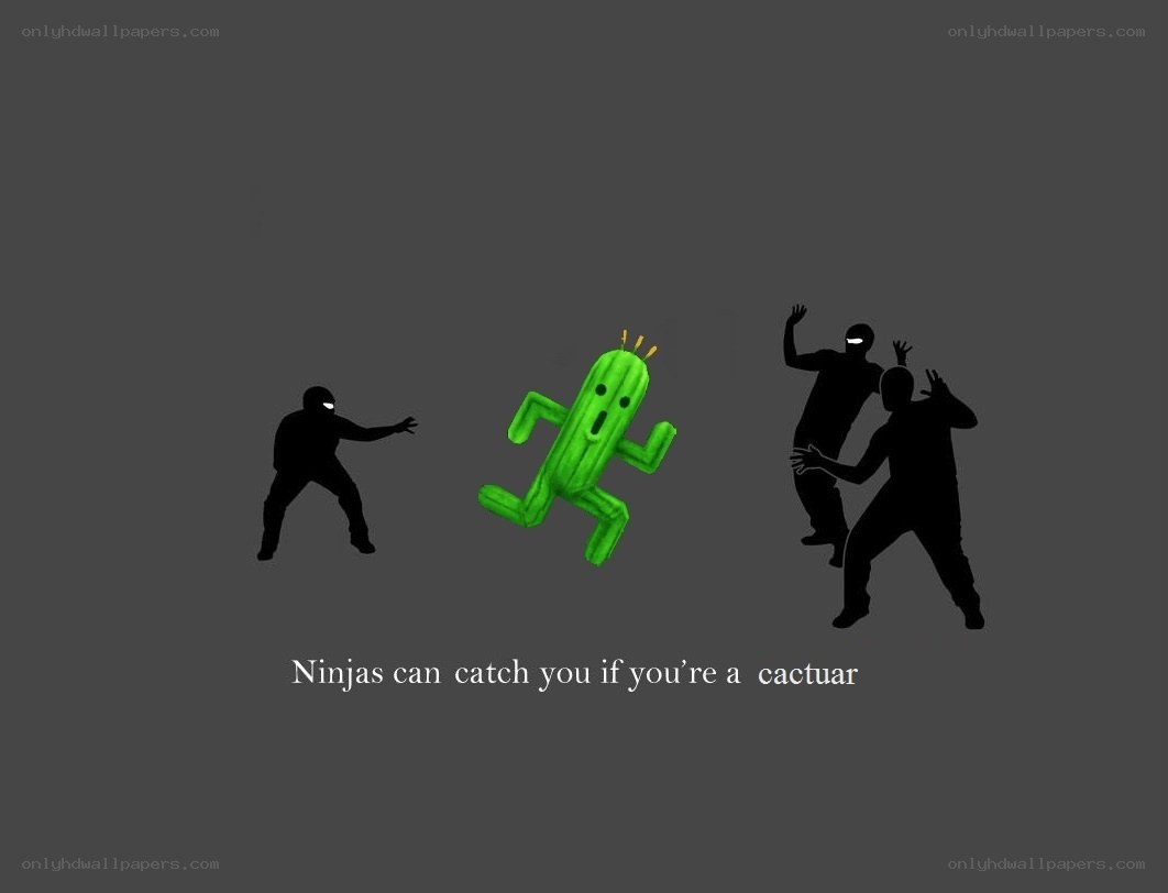 Ninjas and a cactus