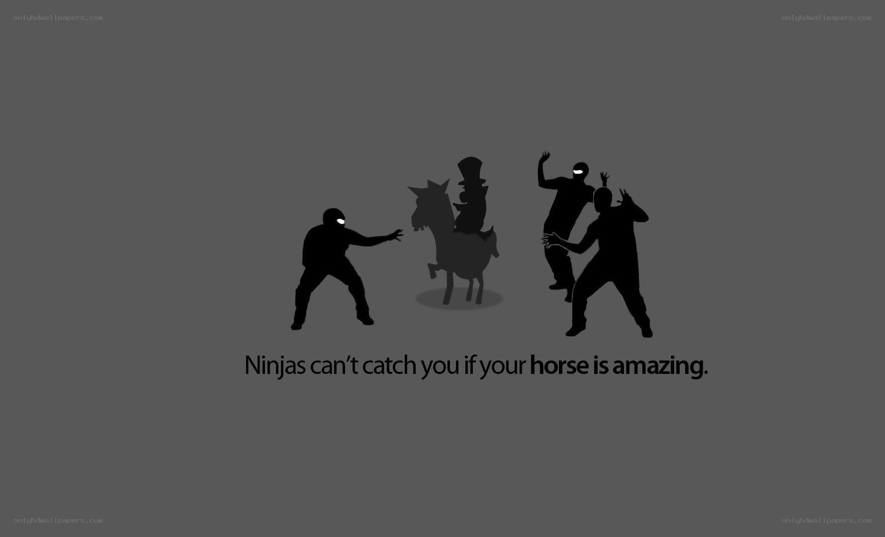 Ninjas and a horse