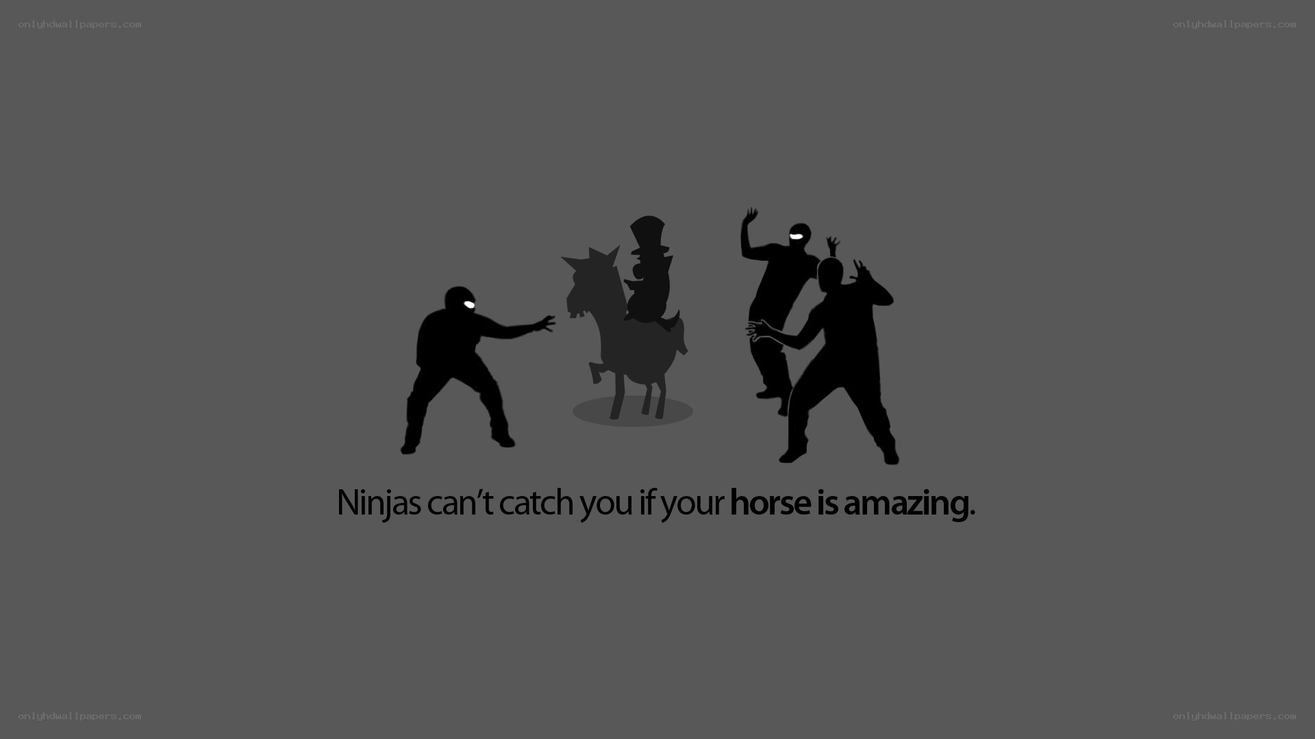 Ninjas and a horse