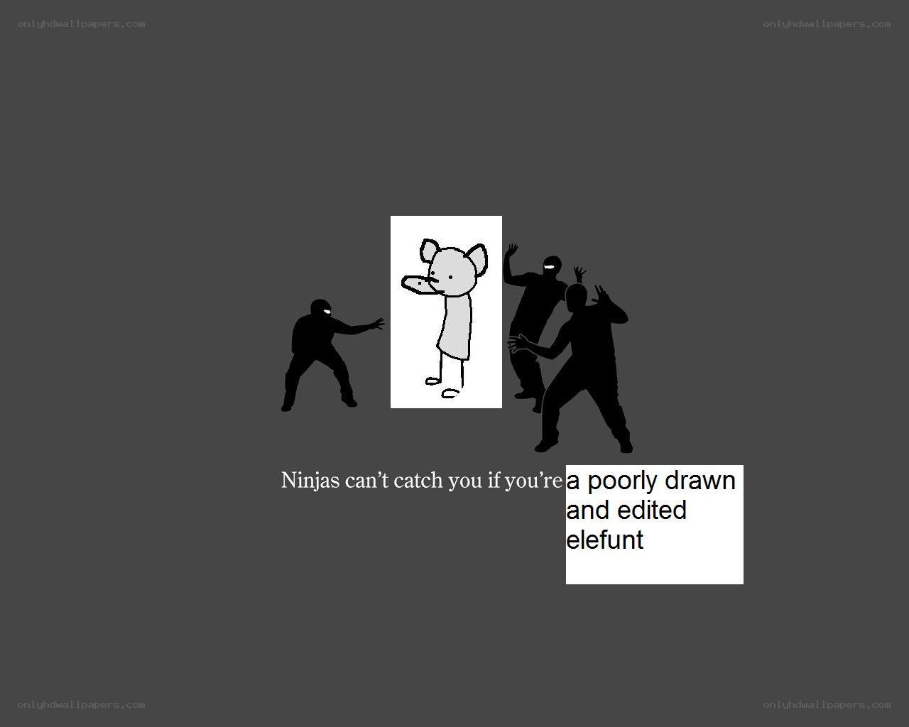 Ninjas and a poorly drawn elephant