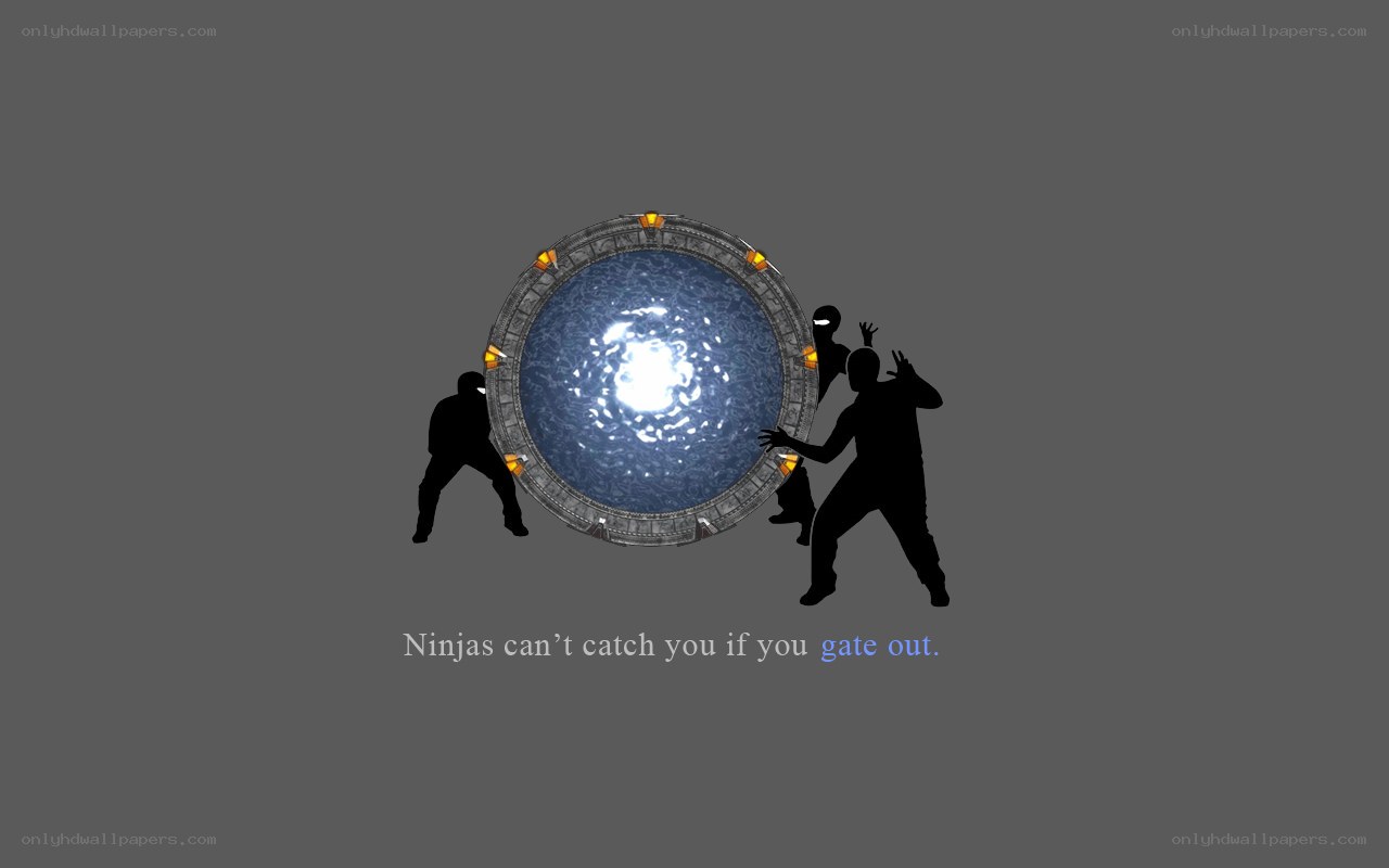 Ninjas and a portal