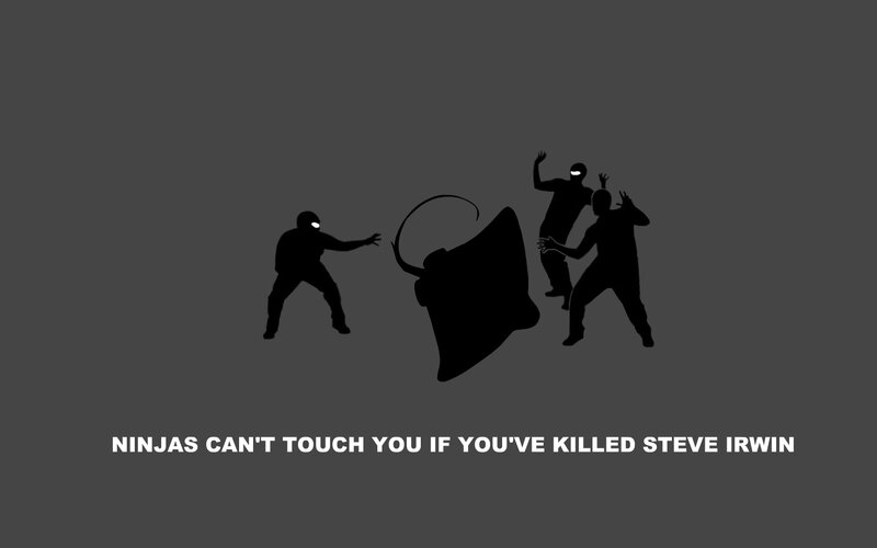 Ninjas and a stingray