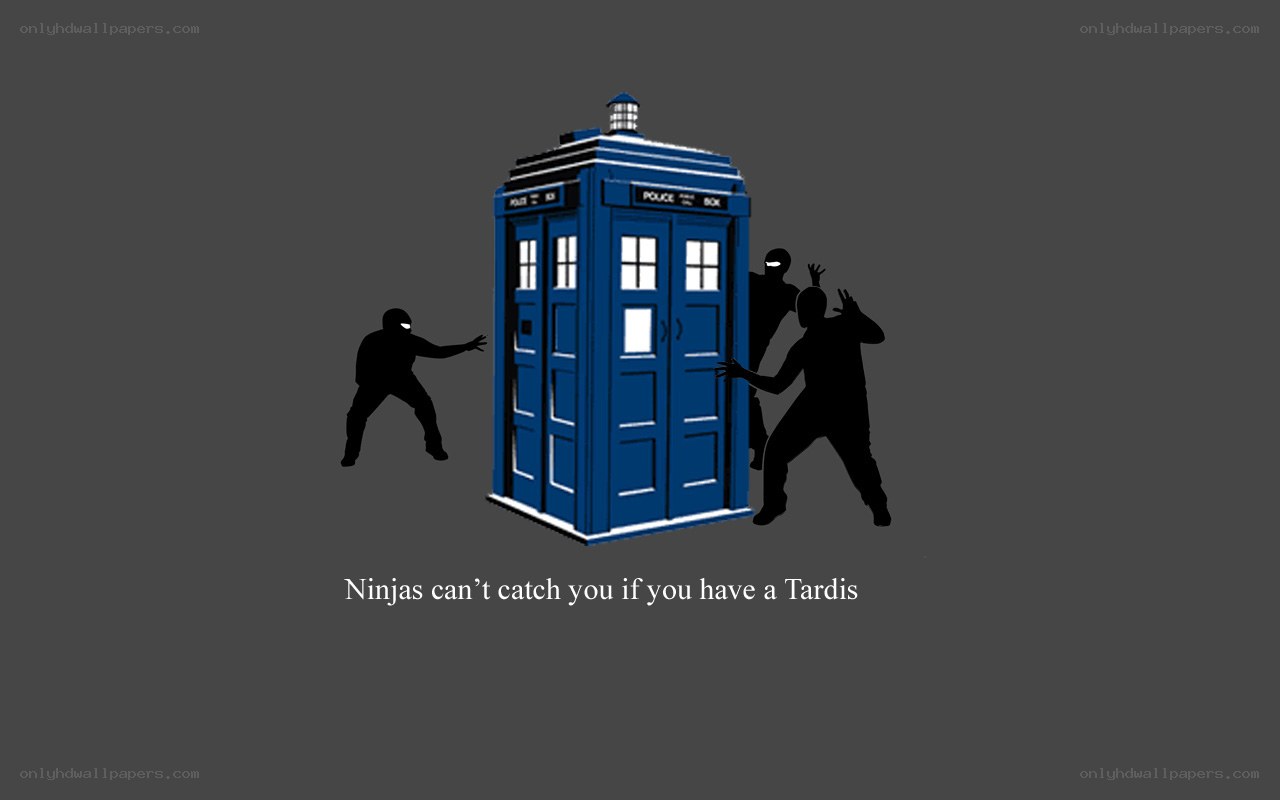 Ninjas and a TARDIS