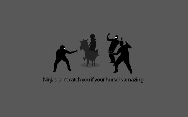 Ninjas and an amazing horse
