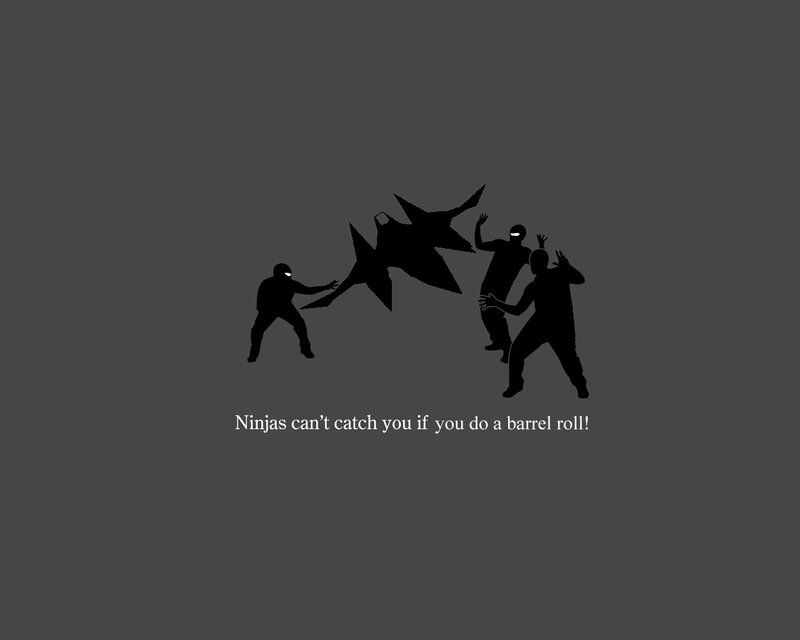 Ninjas and barrel rolls