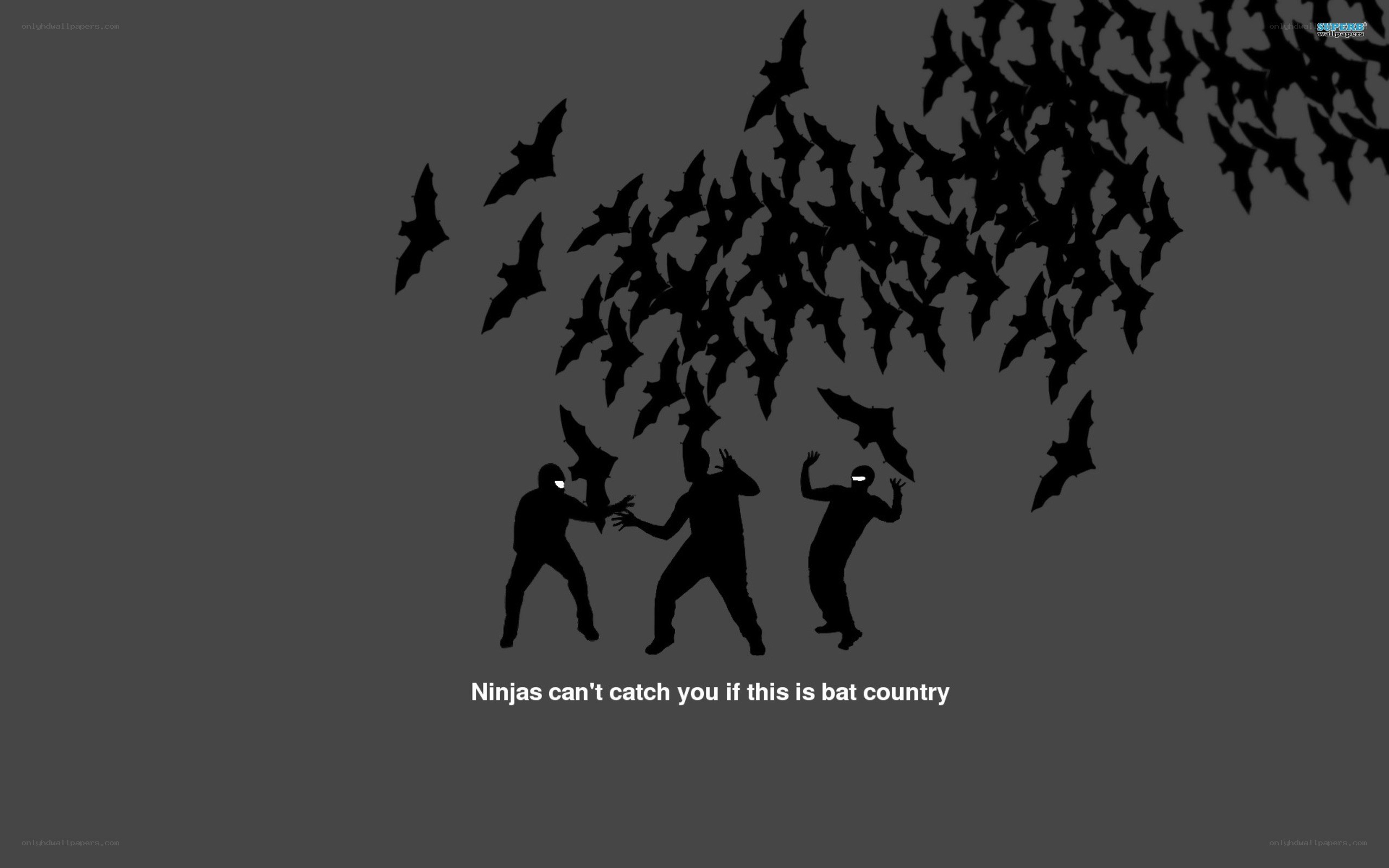 Ninjas and bats in flight