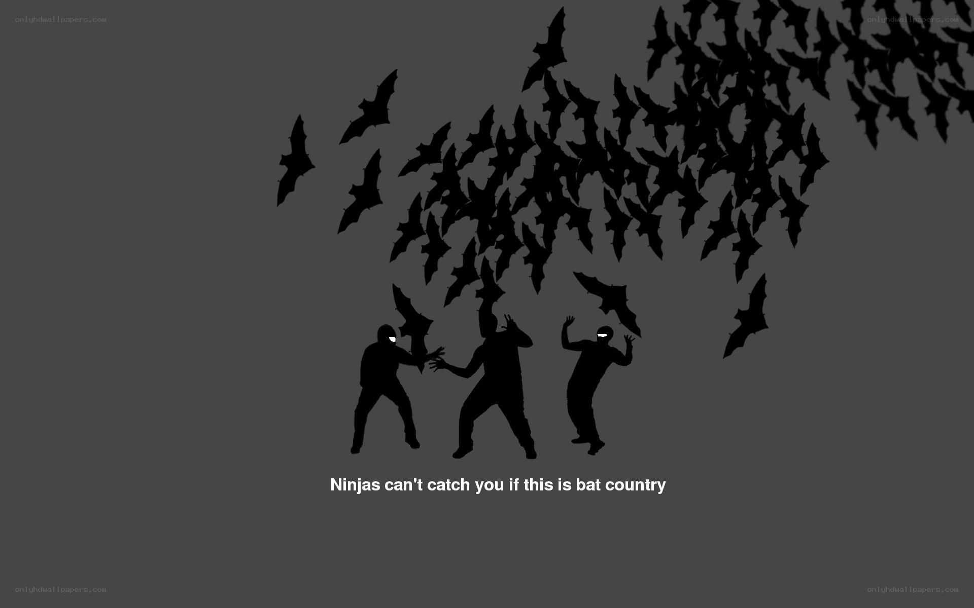 Ninjas and bats