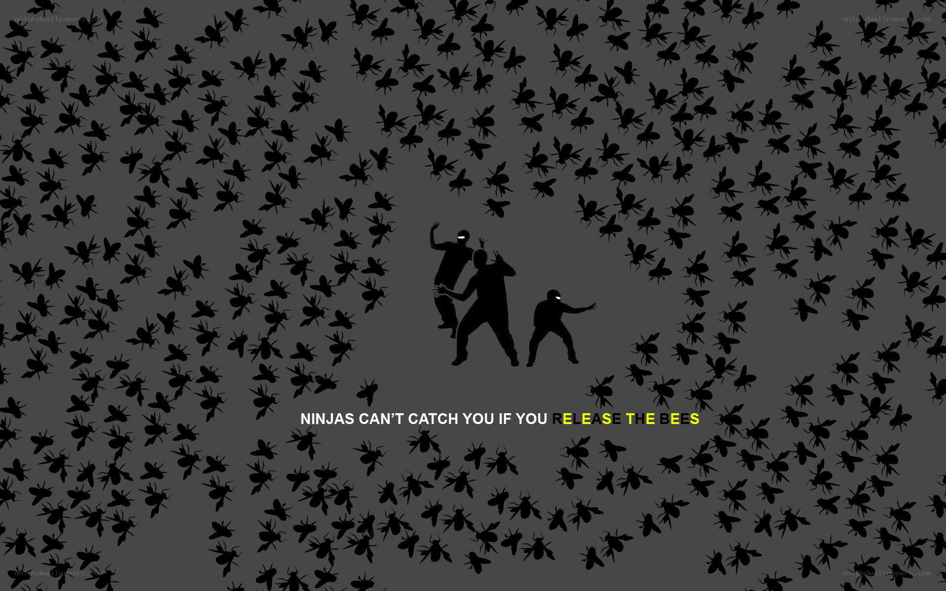 Ninjas and bees