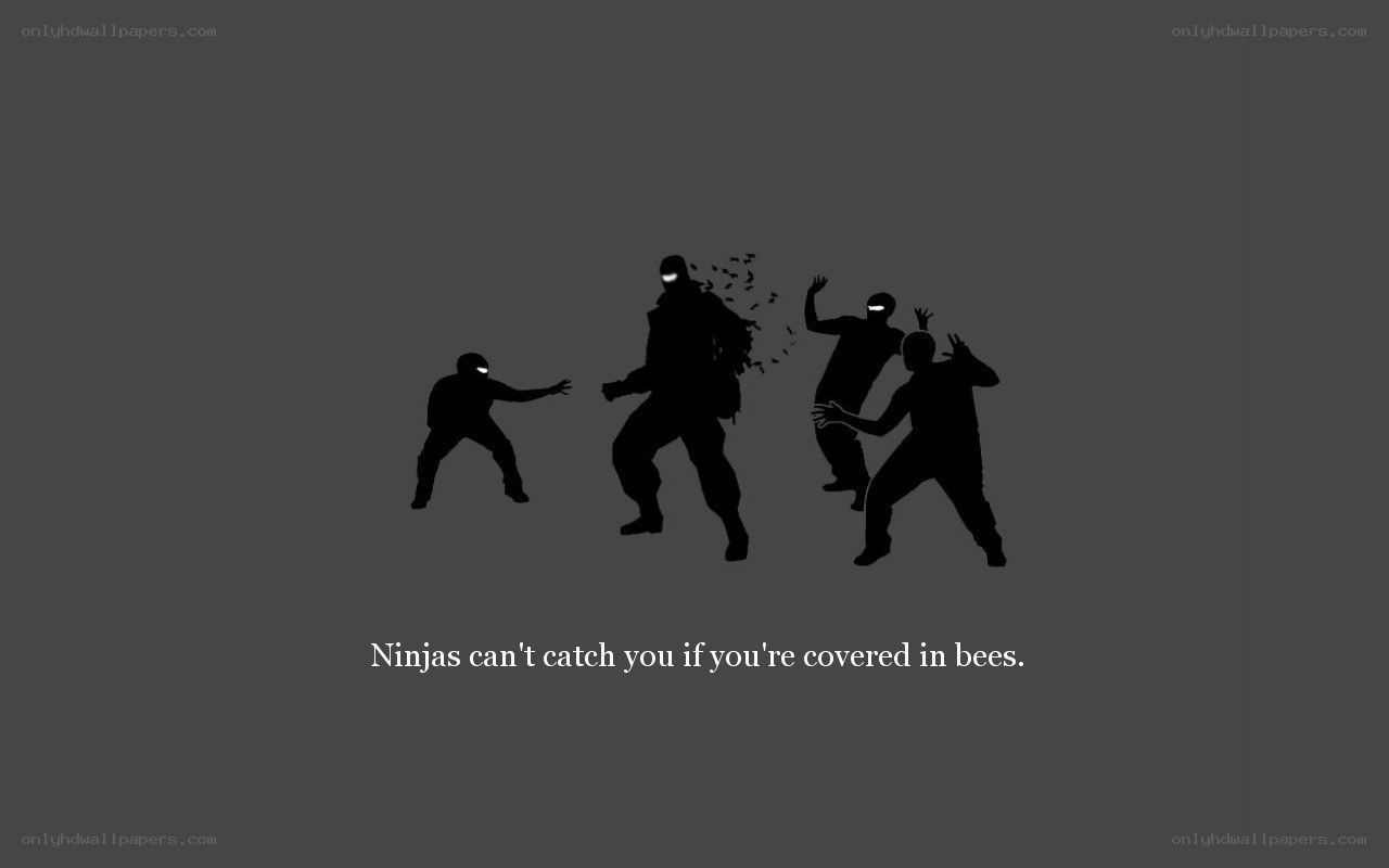 Ninjas and bees illustration