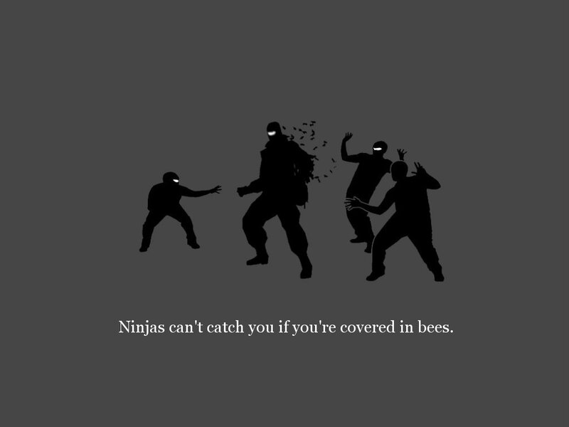 Ninjas and bees