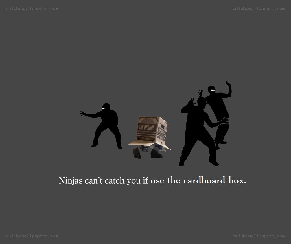 Ninjas and cardboard box
