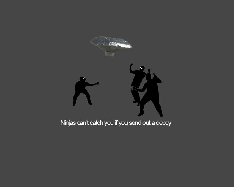 Ninjas and decoy